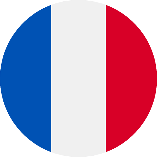 FR language flag